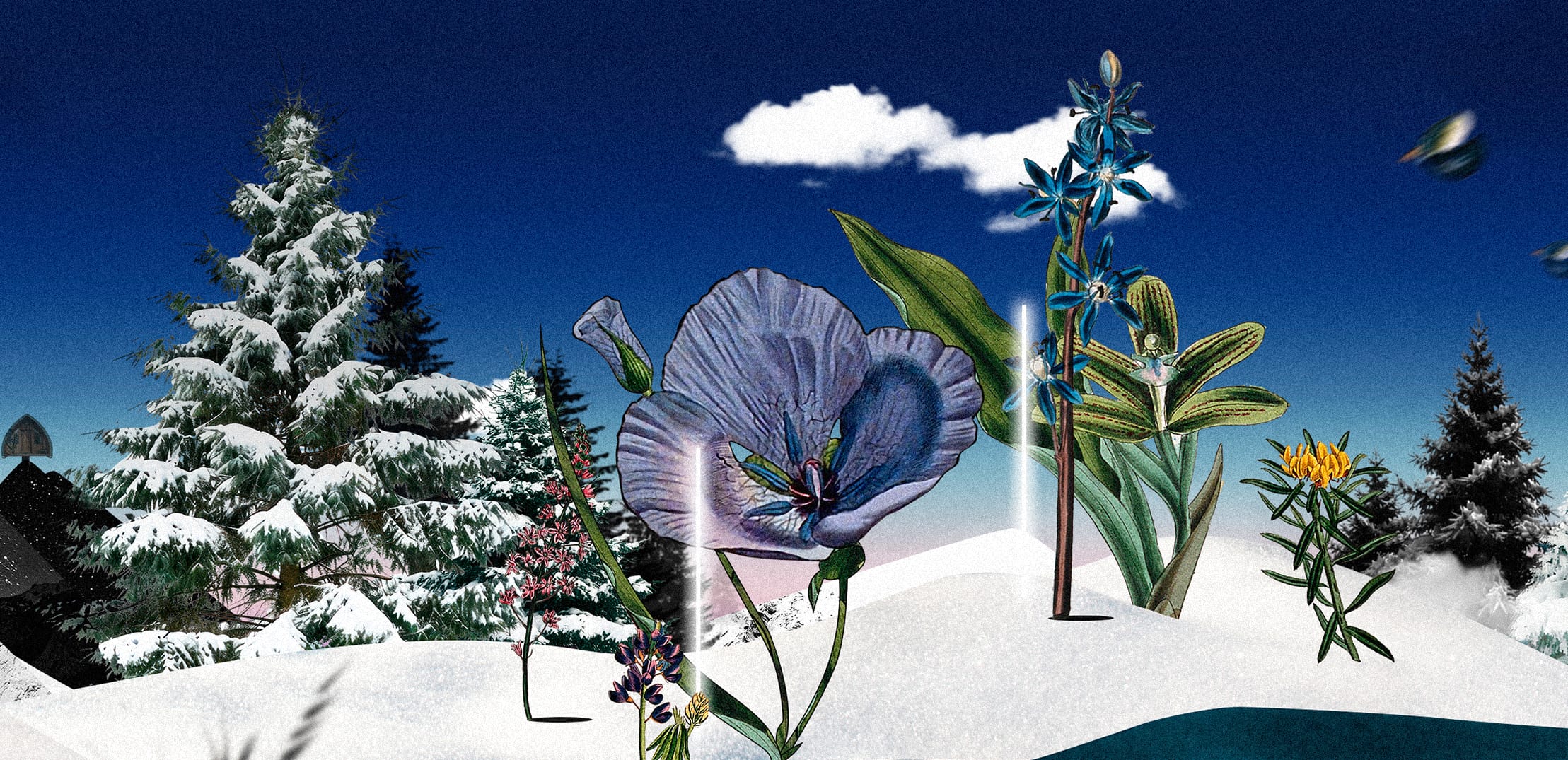 Visual artworks developed for Audemars Piguet Graphic Show immersive live event