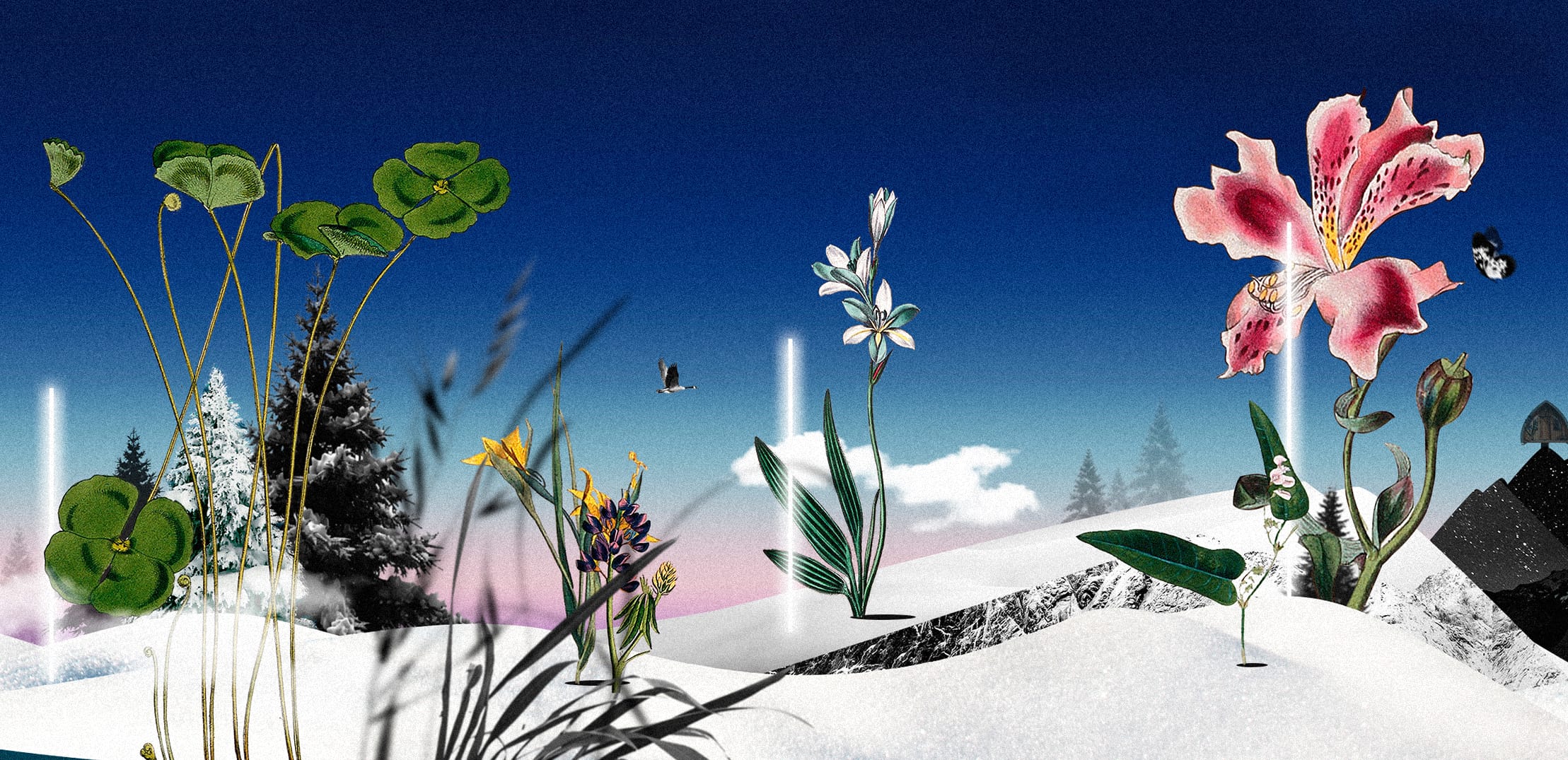 Experimental graphic visuals used during Audemars Piguet Graphic Show performance