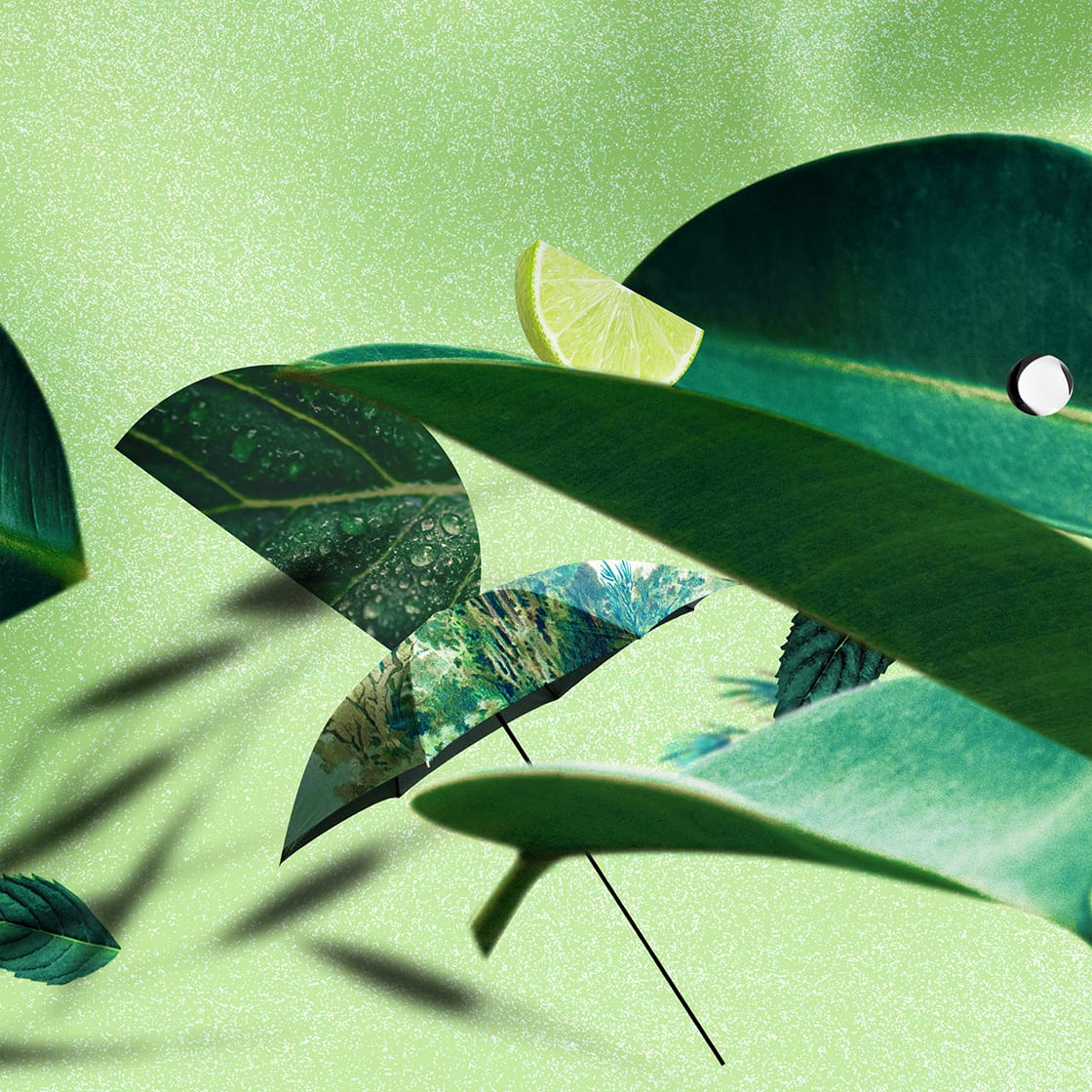 Atkinsons - David & Pauline