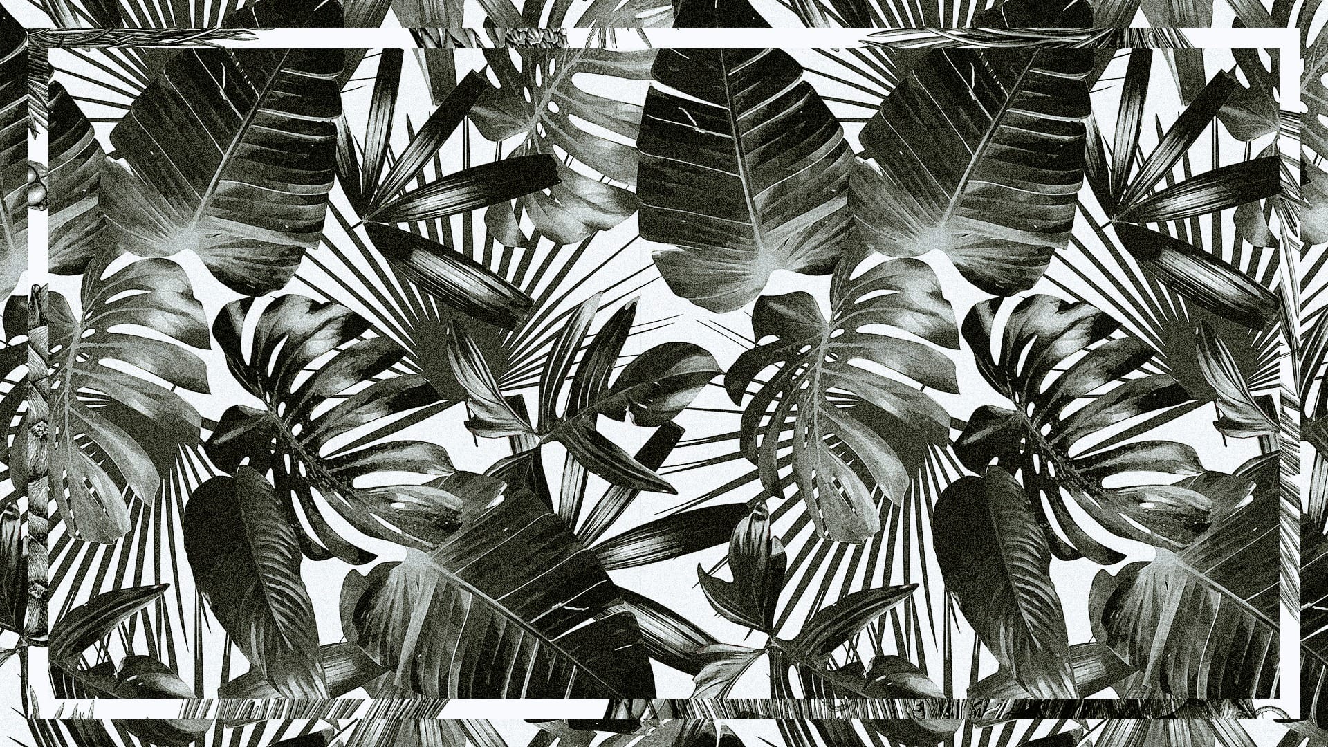 Animated textures and colours inspired by Dolce & Gabbana’s Sicilian spirit