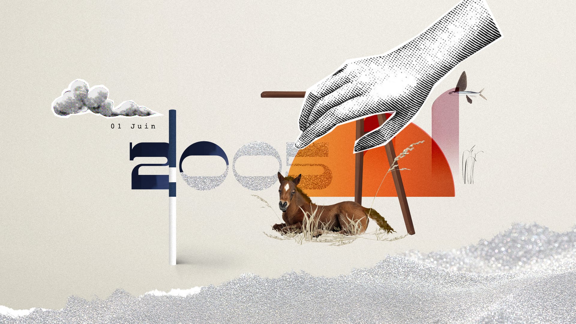 animated sequence combining Ryan's photos with illustrated elements