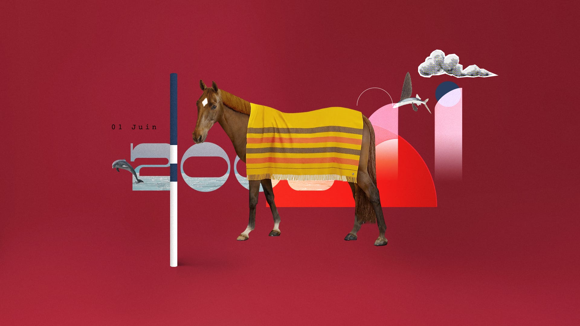 collage of show-jumping moments with textured cutout materials